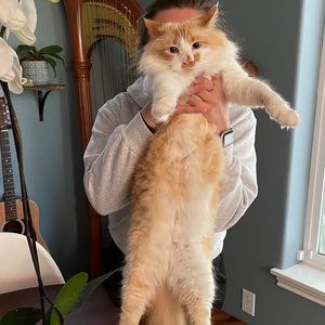 Meet your Posher, Michaela